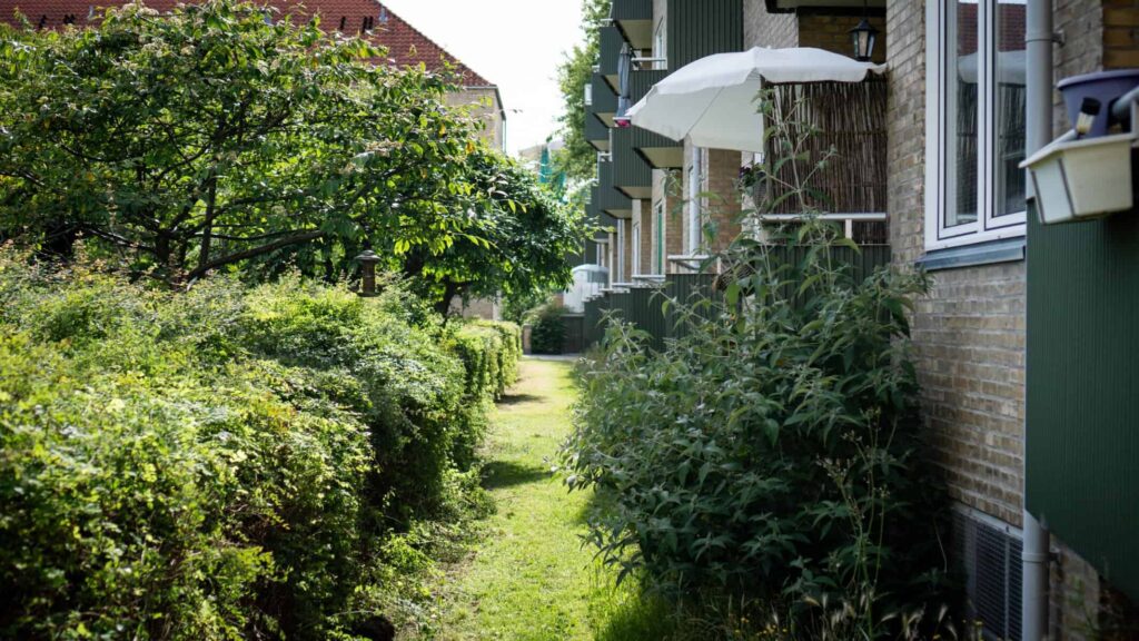 DSC00308 Scaled 1024x576